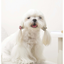 M-Pets Glam Köpekler İçin Aksesuar Toka Pink/White