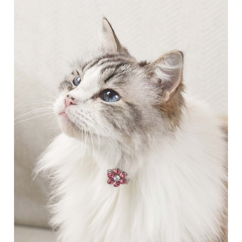 M-Pets Glam Köpekler İçin Aksesuar Toka Pink/White