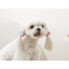 M-Pets Glam Köpekler İçin Aksesuar Toka Pink