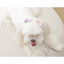 M-Pets Glam Köpekler İçin Aksesuar Toka Pink