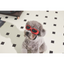 M-PETS Sunny Daytrıp Köpekler İçin Gözlük Red