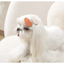 M-Pets Glam Köpekler İçin Aksesuar Toka Orange