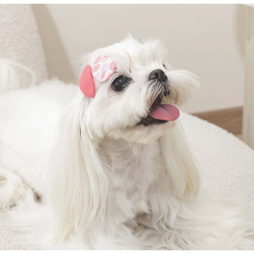 M-Pets Glam Köpekler İçin Aksesuar Toka Red