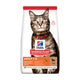 Hill's Kuzulu 3 Kg Yetişkin Kuru Kedi Maması