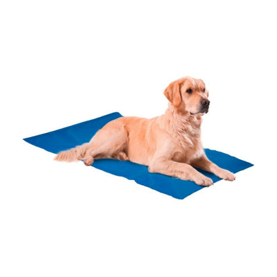 Nunbell Serinleticili Köpek Yatağı 50x65 cm XL