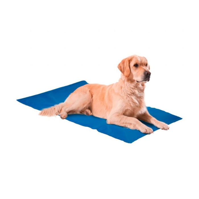 Nunbell Serinleticili Köpek Yatağı 75X100cm 4XL