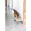 Beeztees DBL Kedi İkili Mama ve Su Kabı, Paslanmaz Çelik, Beyaz, 31x16x10cm, 2x350ml