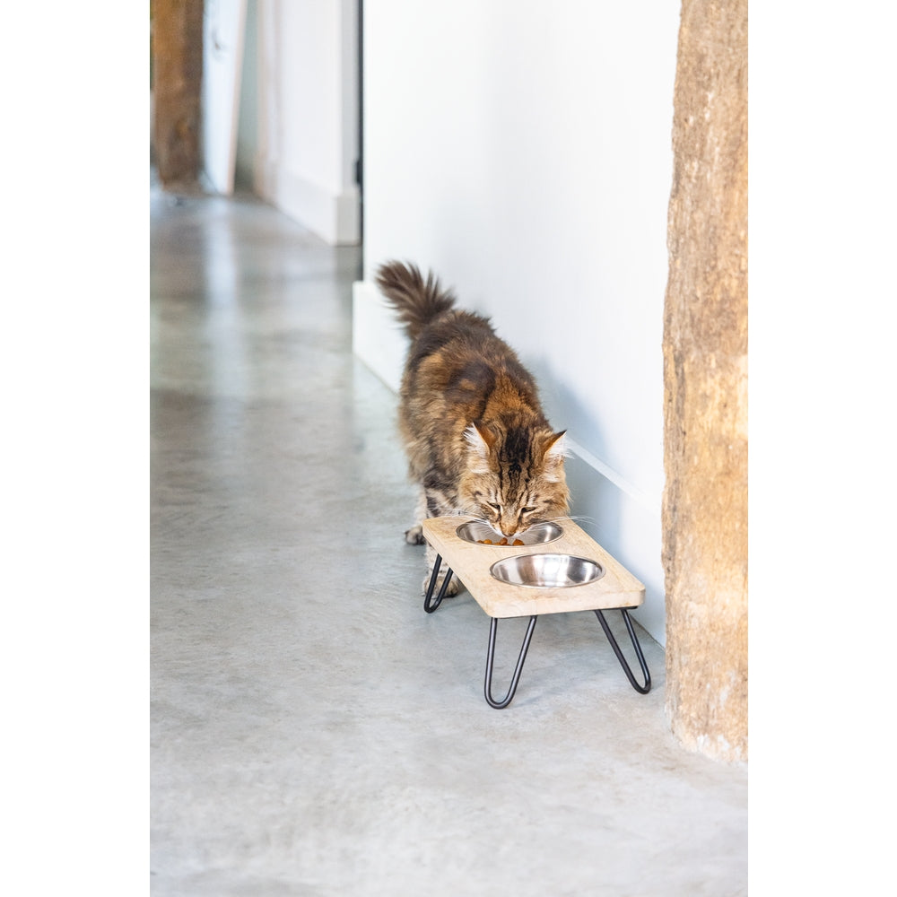 Beeztees DBL Kedi İkili Mama ve Su Kabı, Paslanmaz Çelik, Beyaz, 31x16x10cm, 2x350ml