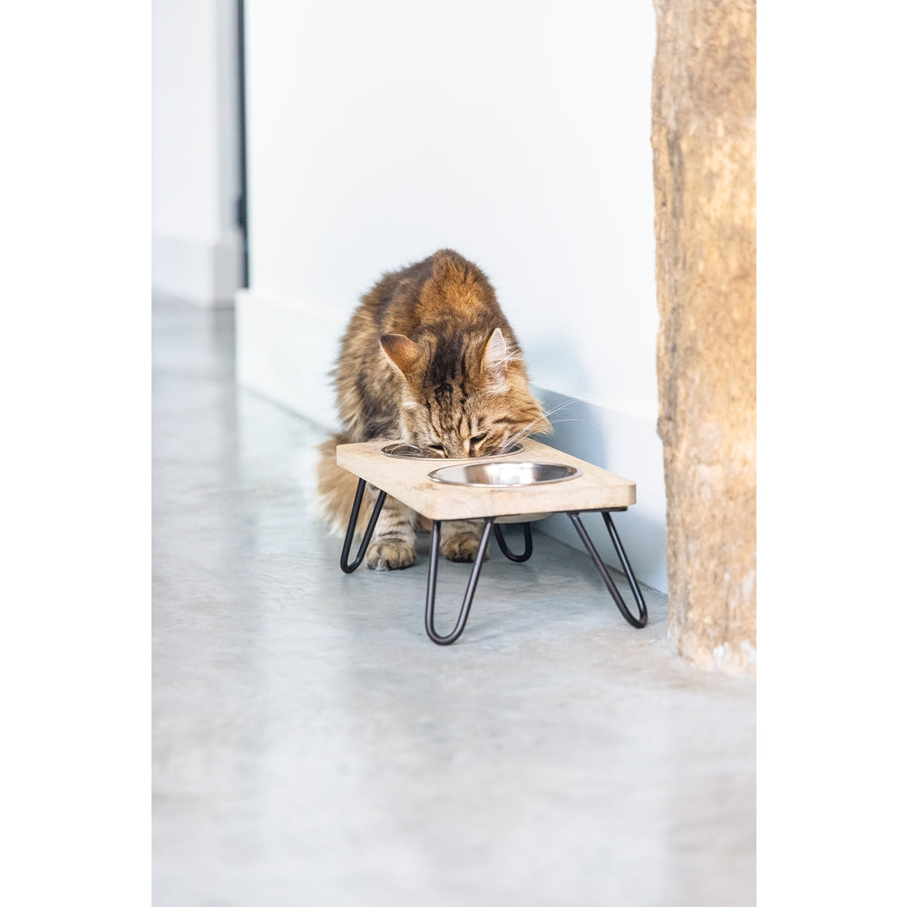 Beeztees DBL Kedi İkili Mama ve Su Kabı, Paslanmaz Çelik, Beyaz, 31x16x10cm, 2x350ml