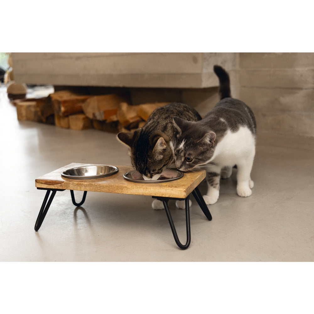 Beeztees DBL Kedi İkili Mama ve Su Kabı, Paslanmaz Çelik, Beyaz, 31x16x10cm, 2x350ml