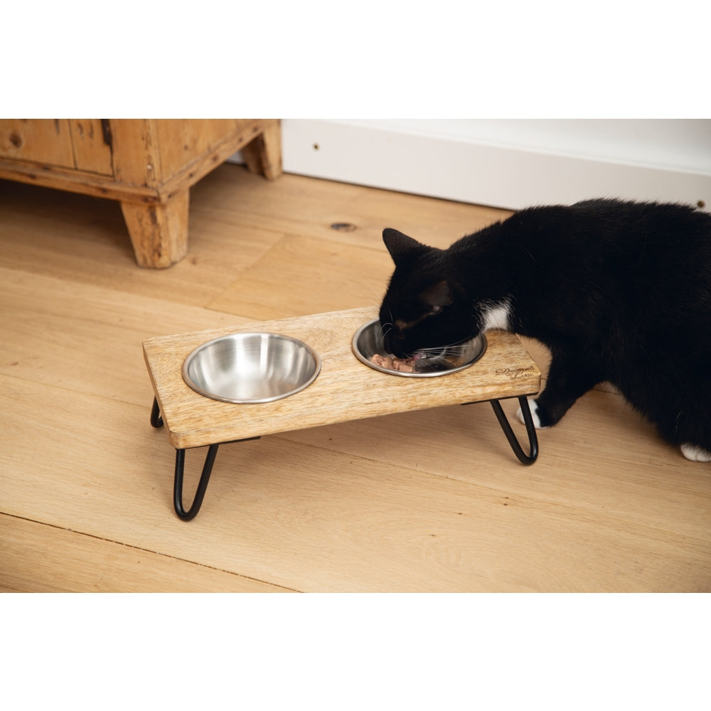 Beeztees DBL Kedi İkili Mama ve Su Kabı, Paslanmaz Çelik, Beyaz, 31x16x10cm, 2x350ml