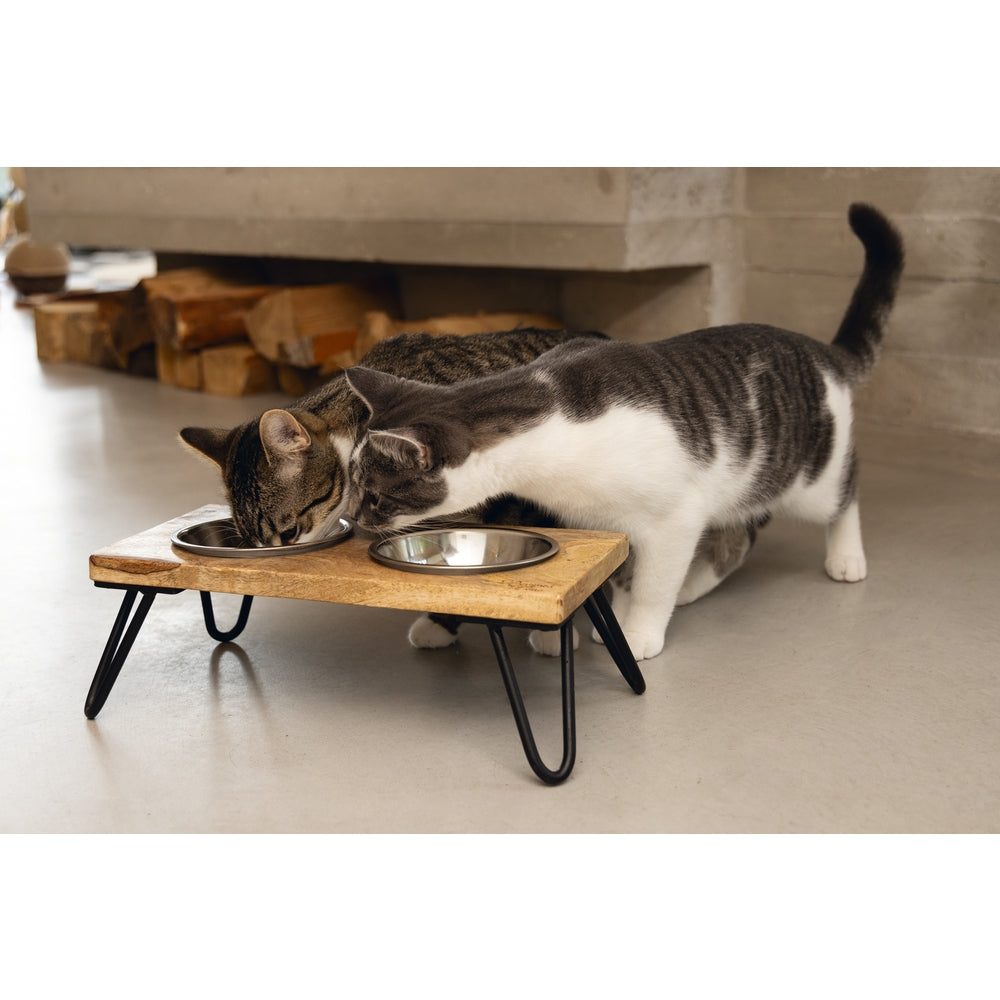 Beeztees DBL Kedi İkili Mama ve Su Kabı, Paslanmaz Çelik, Beyaz, 31x16x10cm, 2x350ml