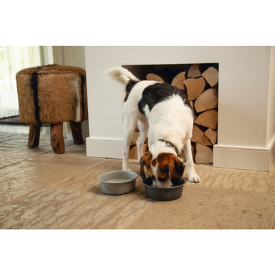 Beeztees DBL Köpek Mama Su Kabı, Mat Gri Paslanmaz Çelik, 16cm, 940ml
