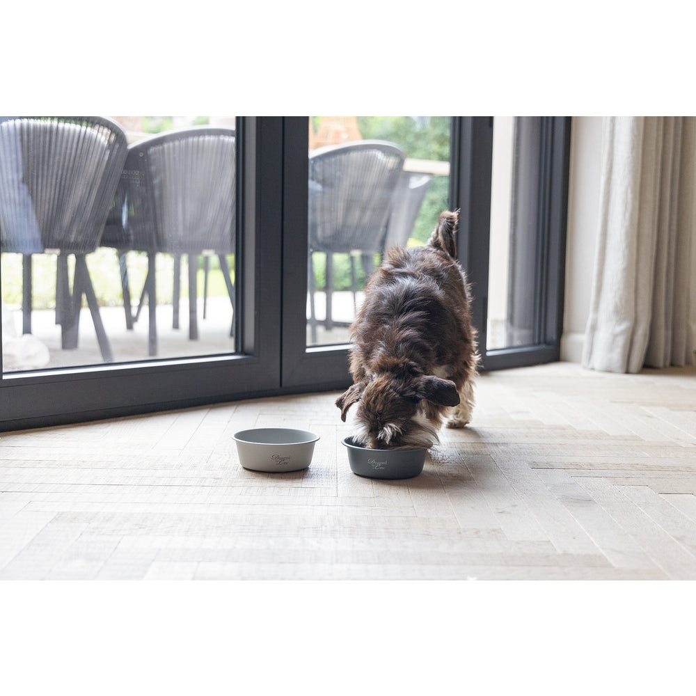 Beeztees DBL Köpek Mama Su Kabı, Mat Gri Paslanmaz Çelik, 16cm, 940ml