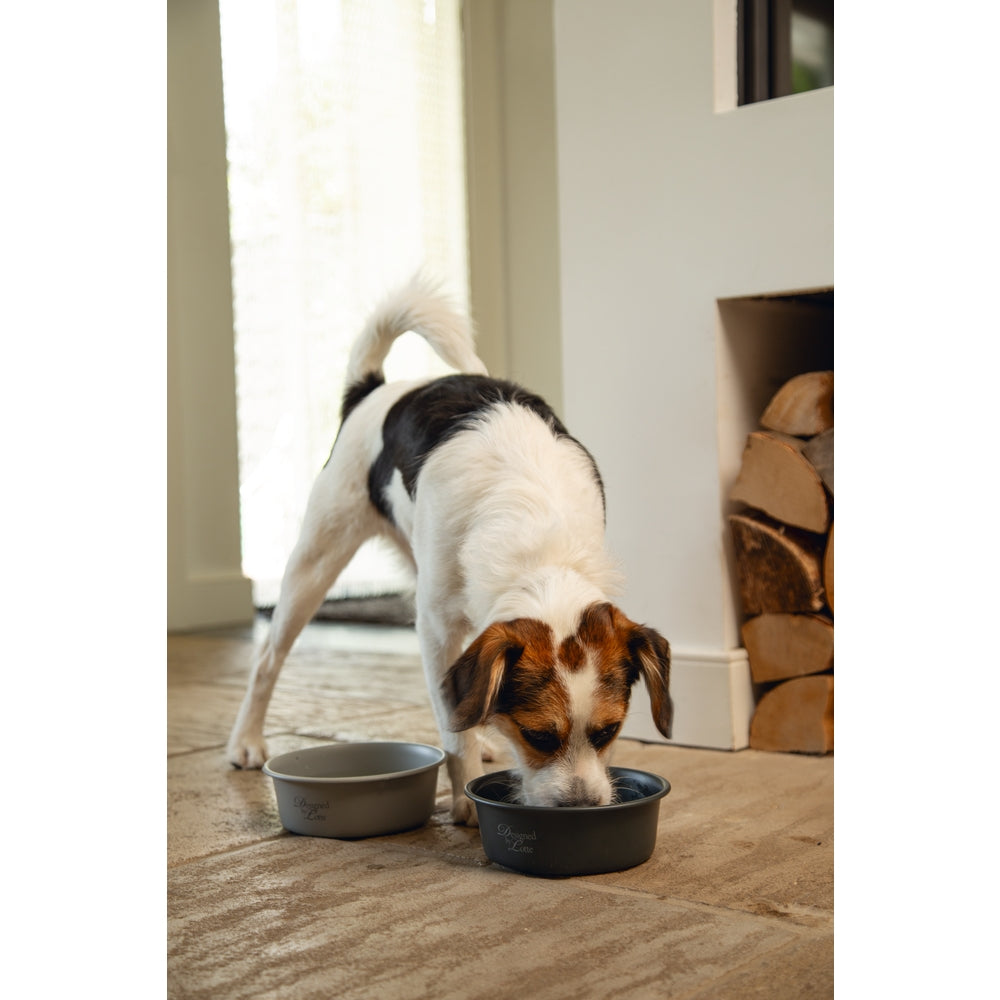 Beeztees DBL Köpek Mama Su Kabı, Mat Gri Paslanmaz Çelik, 16cm, 940ml
