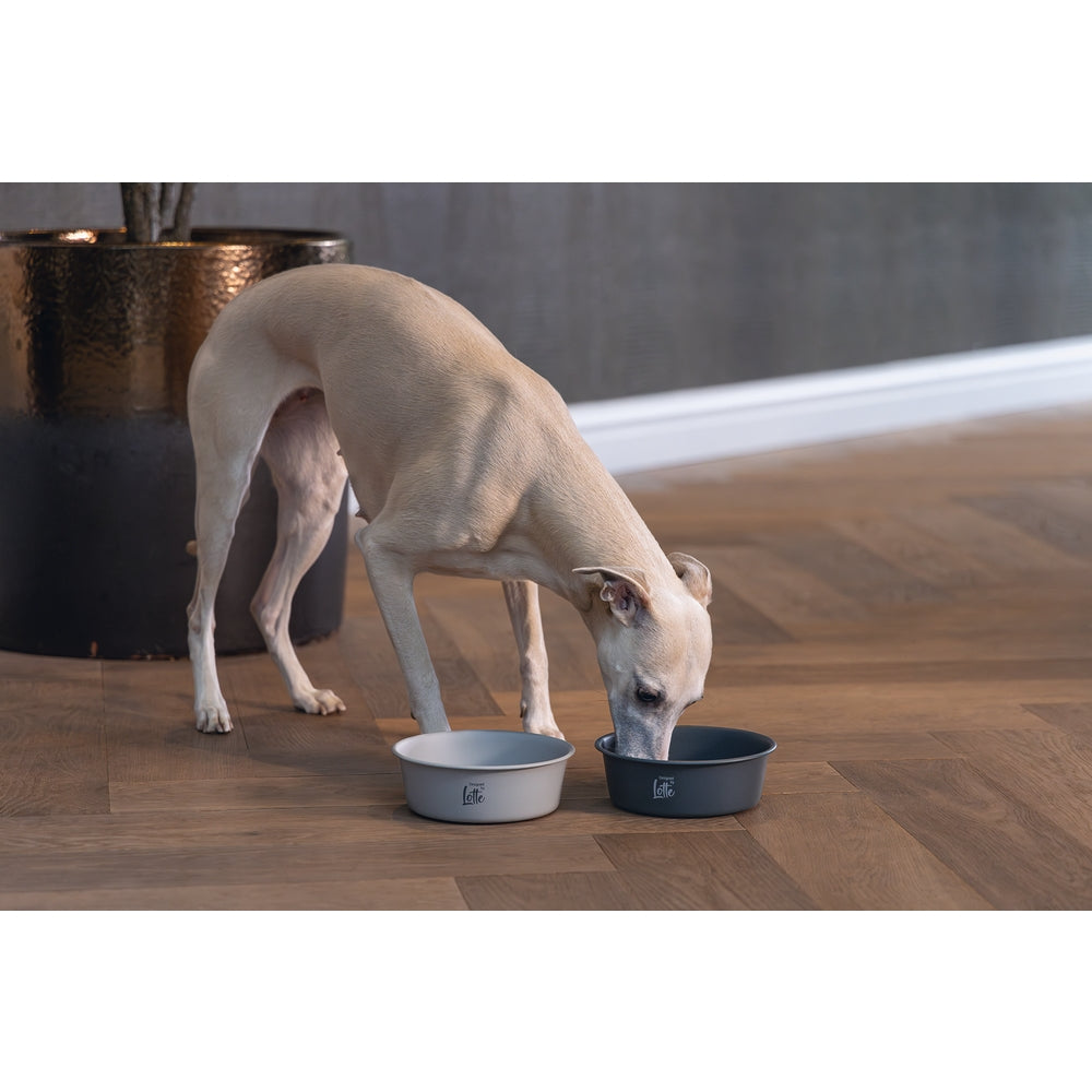 Beeztees DBL Köpek Mama Su Kabı, Mat Siyah Paslanmaz Çelik, 16cm, 940ml