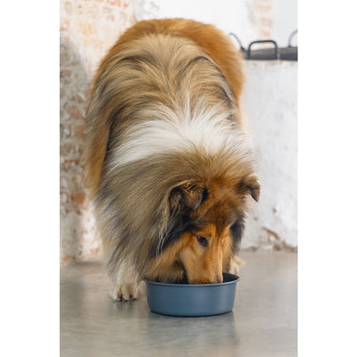 Beeztees DBL Köpek Mama Su Kabı, Mat Siyah Paslanmaz Çelik, 20cm, 1,9L