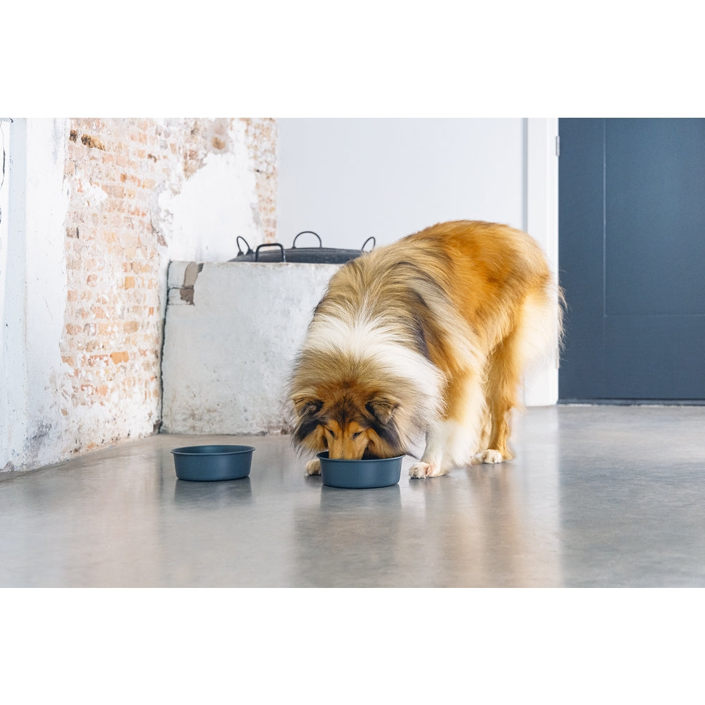 Beeztees DBL Köpek Mama Su Kabı, Mat Siyah Paslanmaz Çelik, 20cm, 1,9L