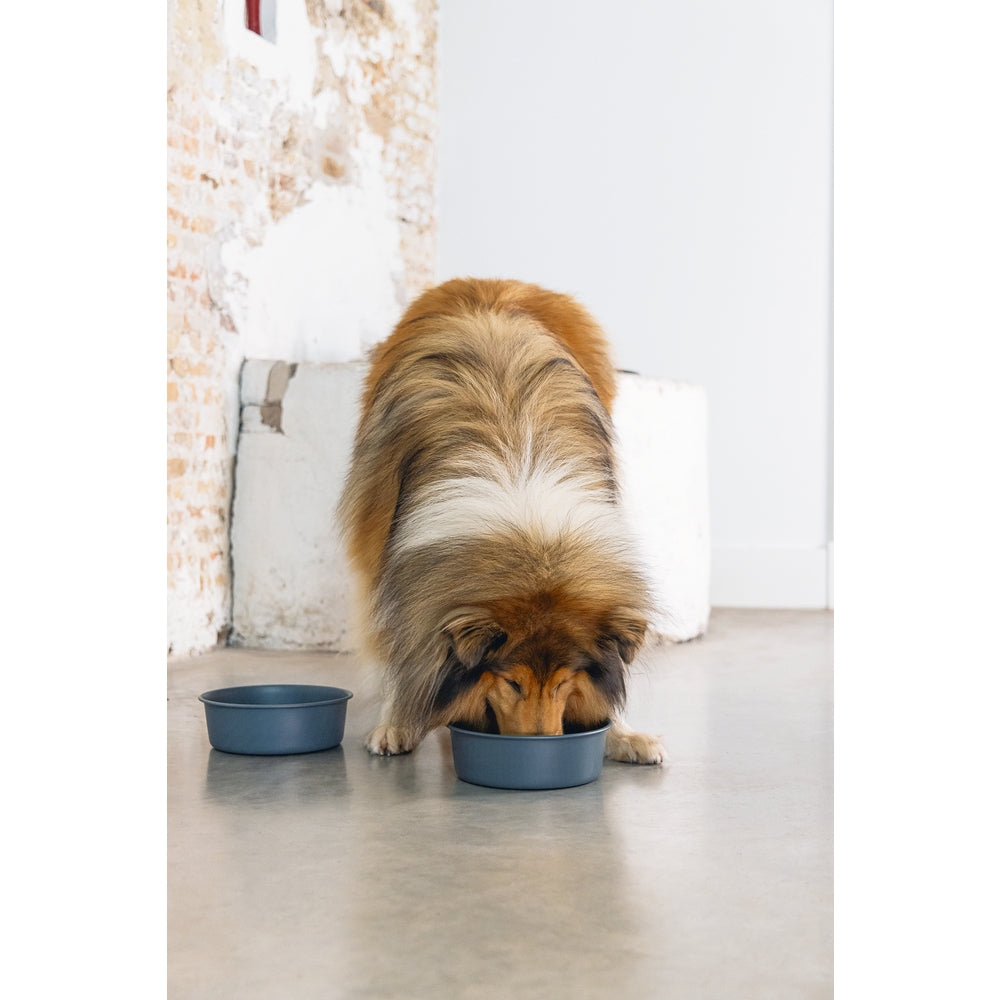 Beeztees DBL Köpek Mama Su Kabı, Mat Siyah Paslanmaz Çelik, 20cm, 1,9L