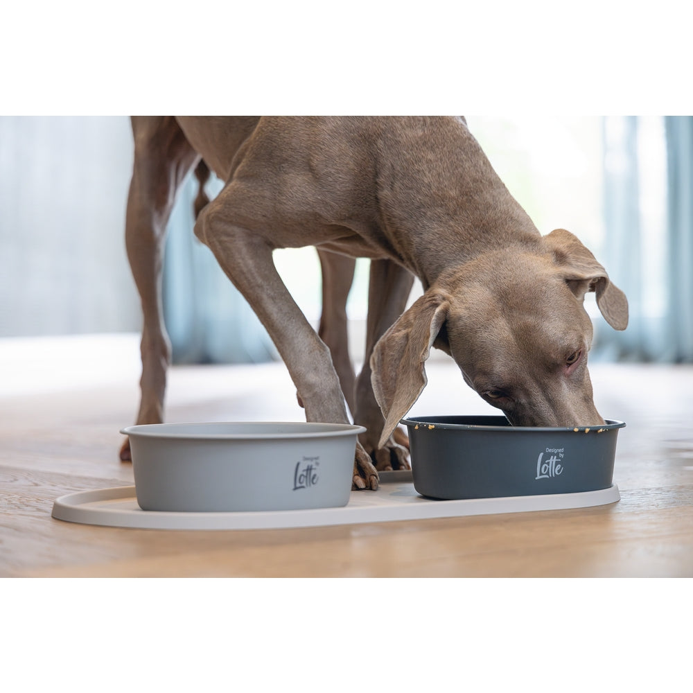 Beeztees DBL Köpek Mama Su Kabı, Mat Siyah Paslanmaz Çelik, 20cm, 1,9L