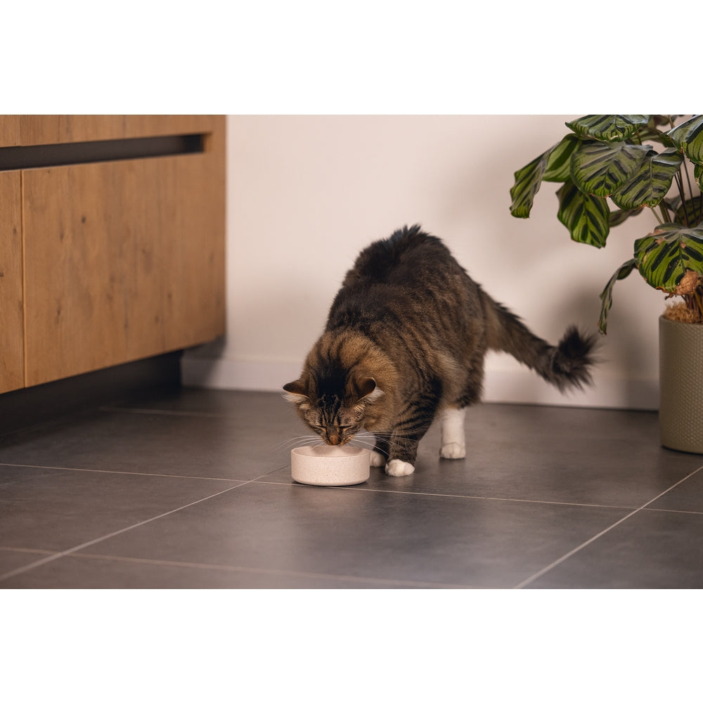 Beeztees DBL Kedi Mama Su Kabı, Bambu, Bej 12cm, 250ml