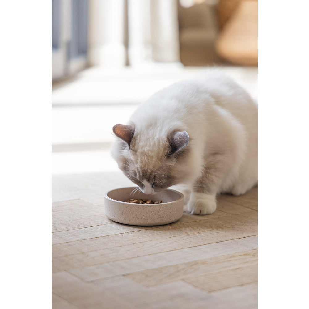 Beeztees DBL Kedi Mama Su Kabı, Bambu, Bej 12cm, 250ml