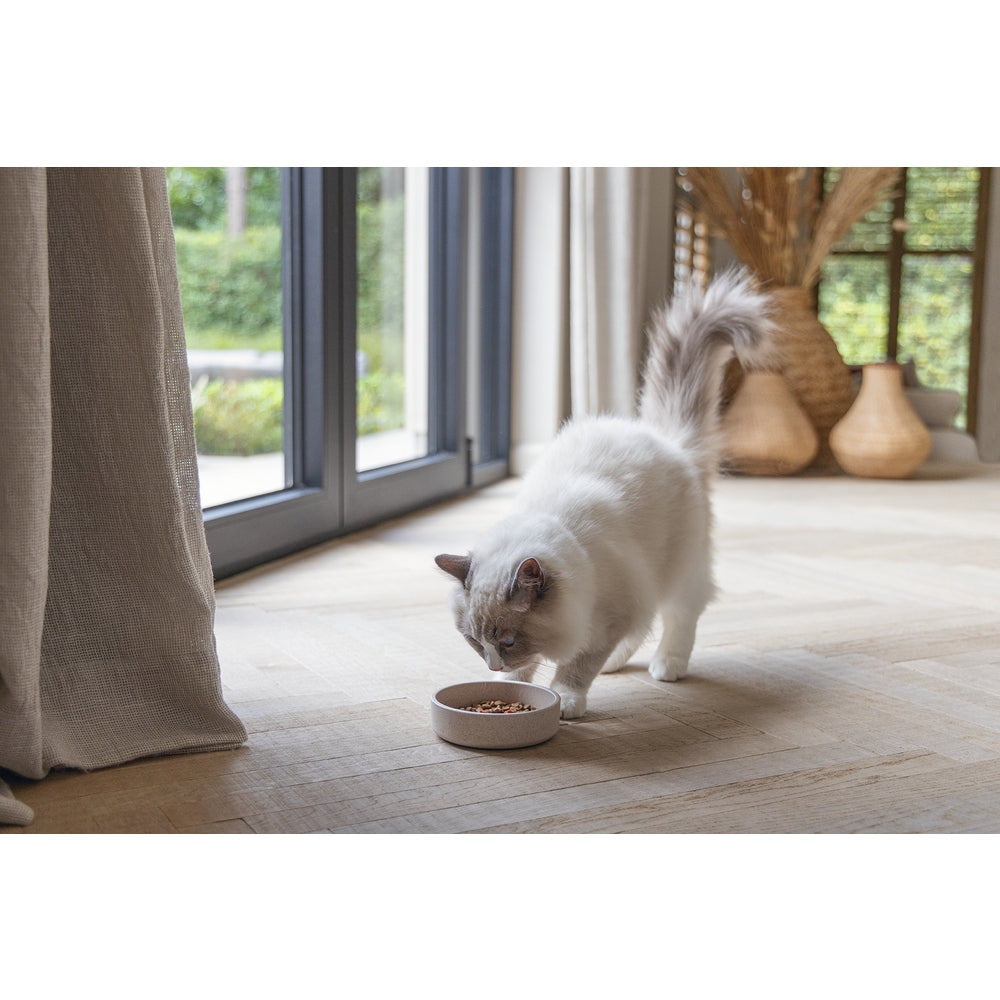 Beeztees DBL Kedi Mama Su Kabı, Bambu, Bej 12cm, 250ml