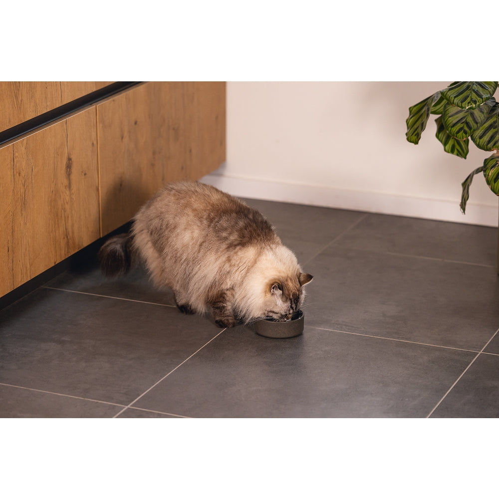Beeztees DBL Kedi Mama Su Kabı, Bambu, Antrasit 12cm, 250ml