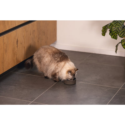Beeztees DBL Kedi Mama Su Kabı, Bambu, Antrasit 12cm, 250ml