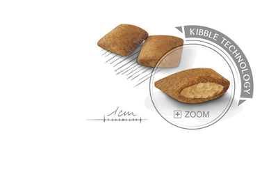 Royal Canin CCN Mini Exigent 3 Kg Yetişkin Kuru Köpek Maması