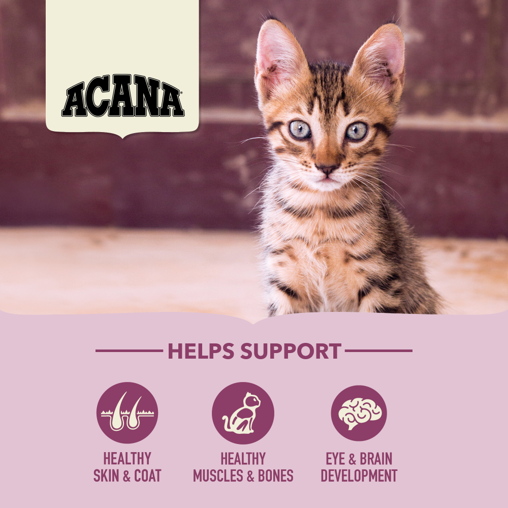 Acana First Feast Kitten Yavru Kedi Maması 1.8 Kg