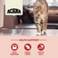 Acana Indoor Entree Sterilised Yetişkin Kedi Maması 4.5 Kg
