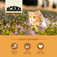 ACANA Wild Prairie Highest Protein (Yüksek Protein) Kedi Maması 1,8kg - Tüm ırk ve yaşam evreleri için