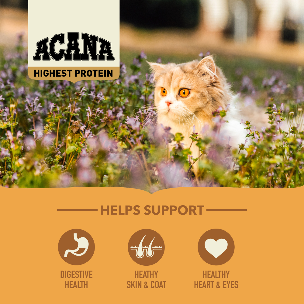 ACANA Wild Prairie Highest Protein (Yüksek Protein) Kedi Maması 1,8kg - Tüm ırk ve yaşam evreleri için