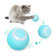 Kedi Oyuncagı İnteraktif Hareketli Top