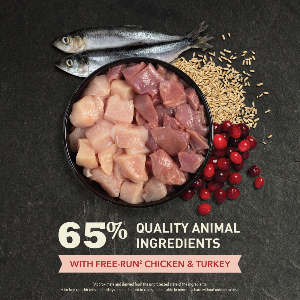 Acana Indoor Entree Sterilised Yetişkin Kedi Maması 4.5 Kg