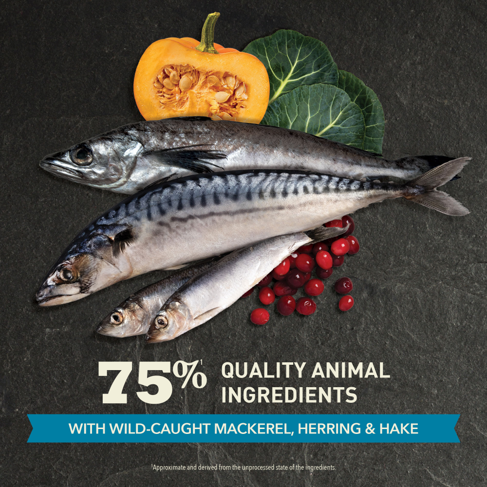 Acana Pacifica Kedi Maması 1.8 Kg - Tüm ırk ve yaşam evreleri için