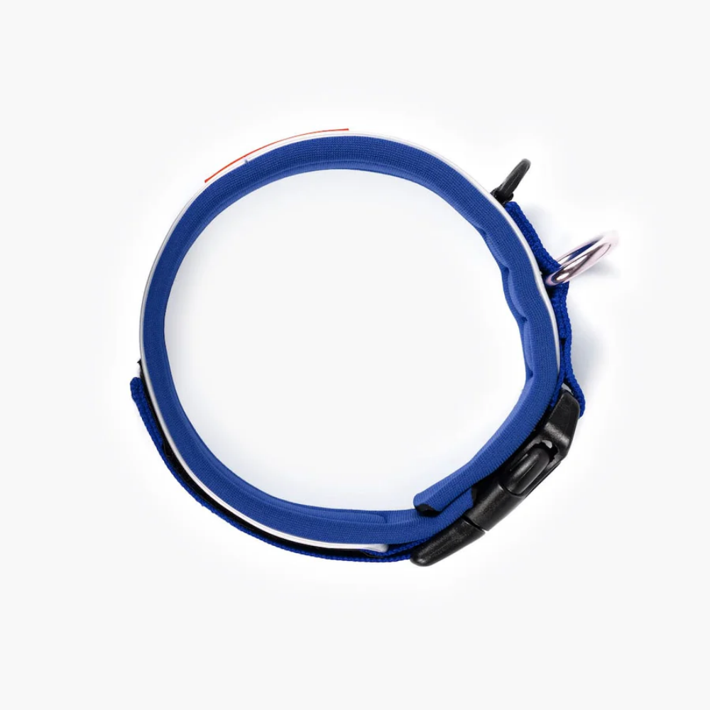 EzyDog 50065 Neo Collar Classic L Blue