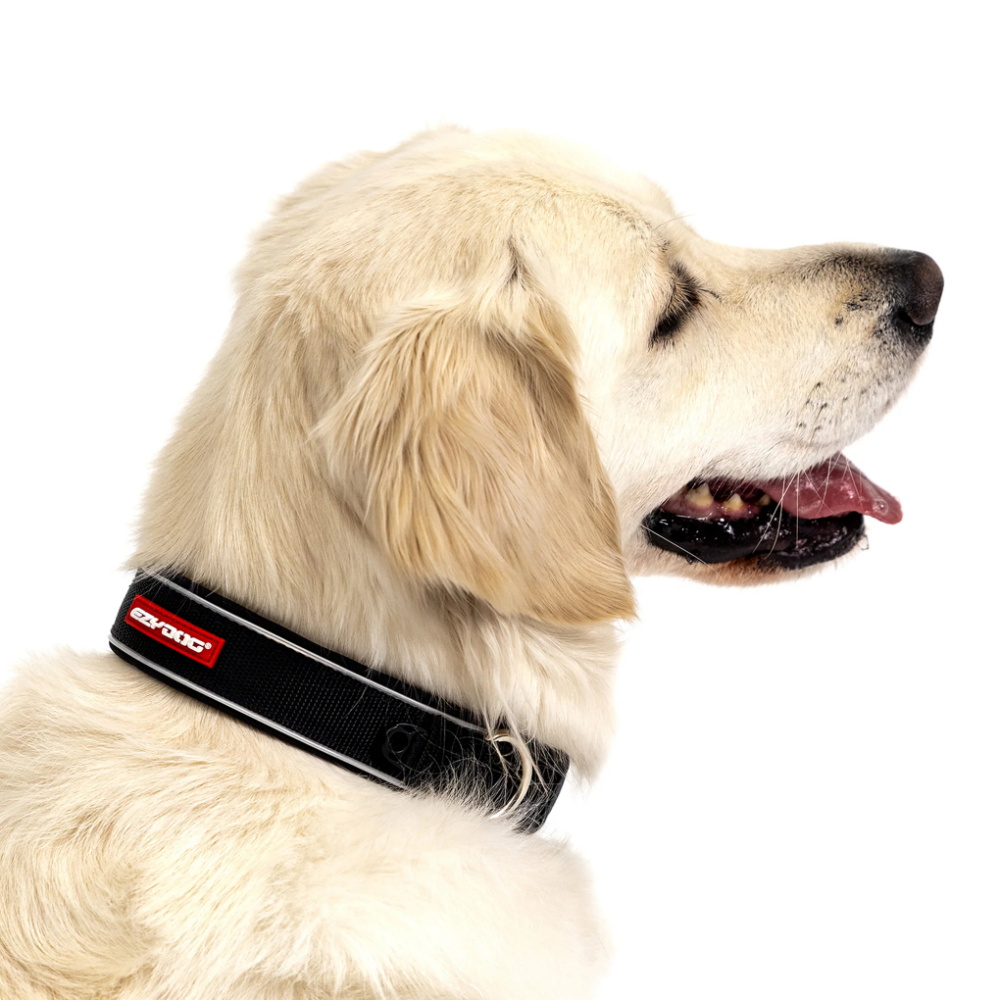 EzyDog NEO COLLAR CLASSIC L CAMOUFLAGE