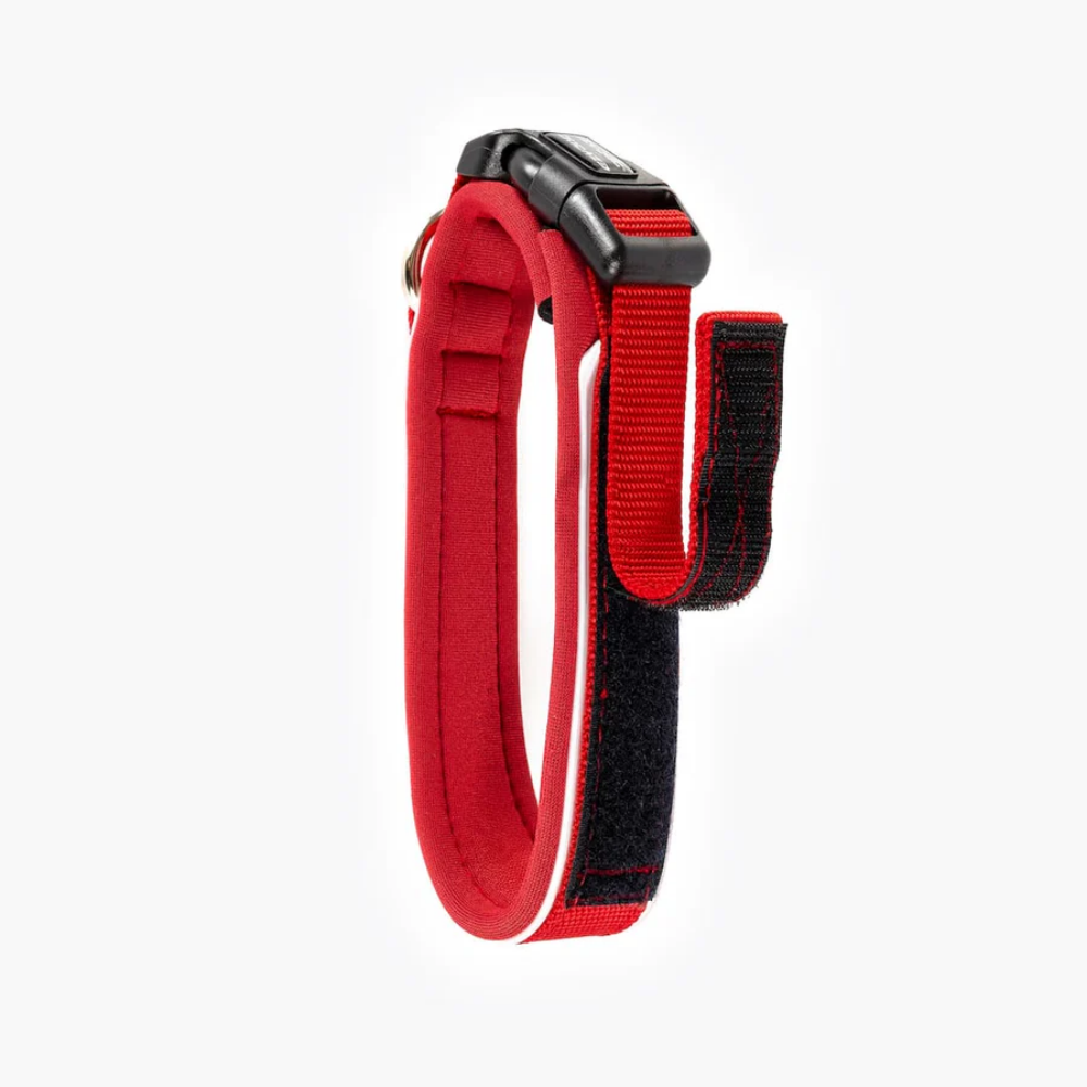 EzyDog Neo Collar Classıc Whıde L Red