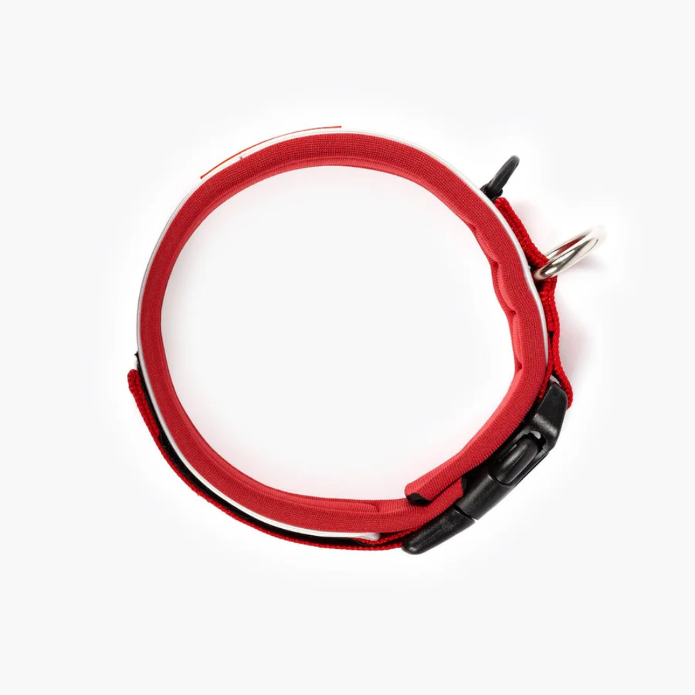 EzyDog Neo Collar Classıc Whıde L Red