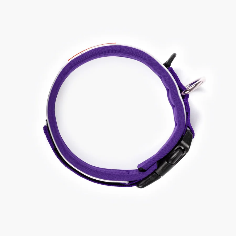 EzyDog NEO COLLAR CLASSIC M PURPLE