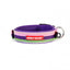 EzyDog NEO COLLAR CLASSIC S BUBLE GUM