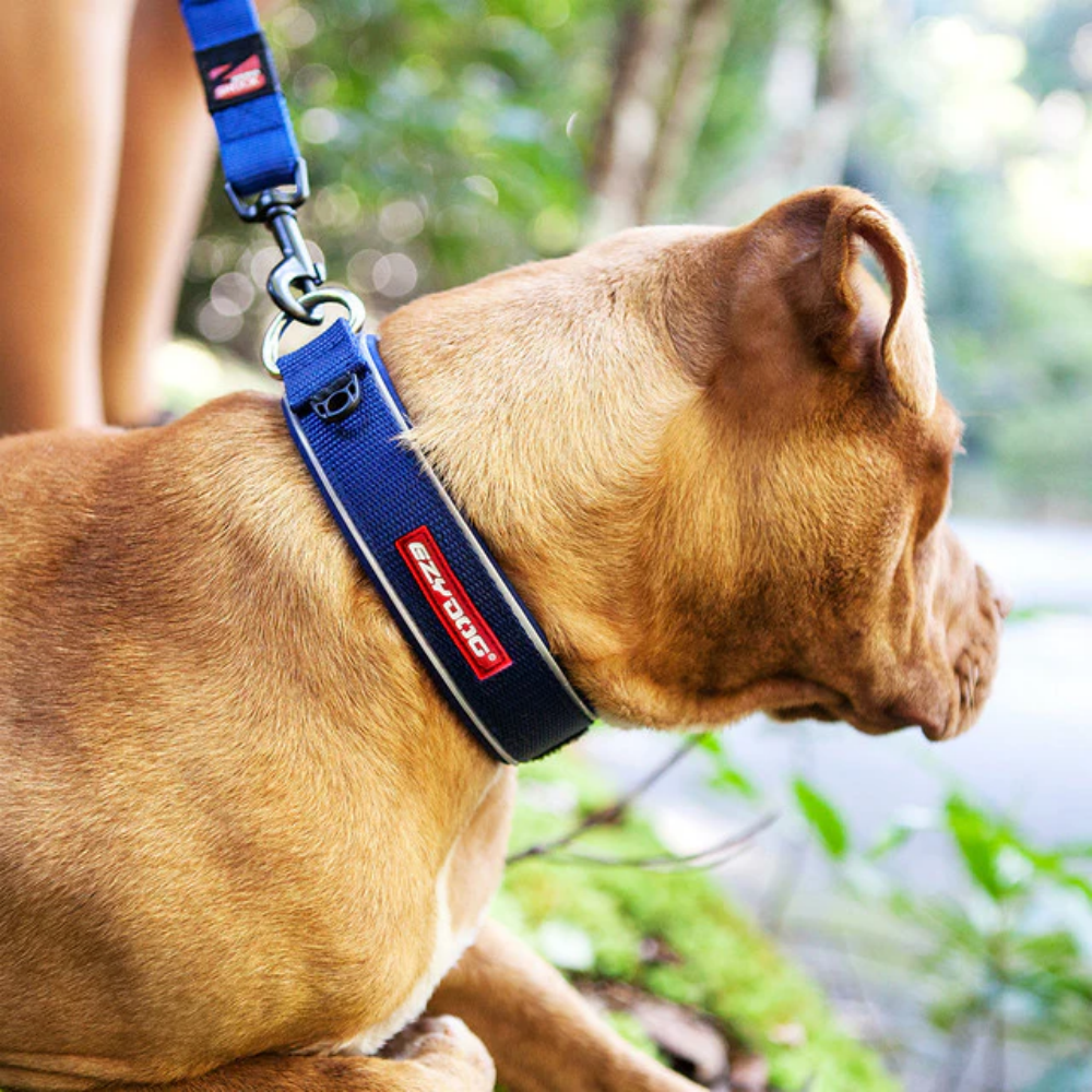 EzyDog NEO COLLAR CLASSIC XL ORANGE