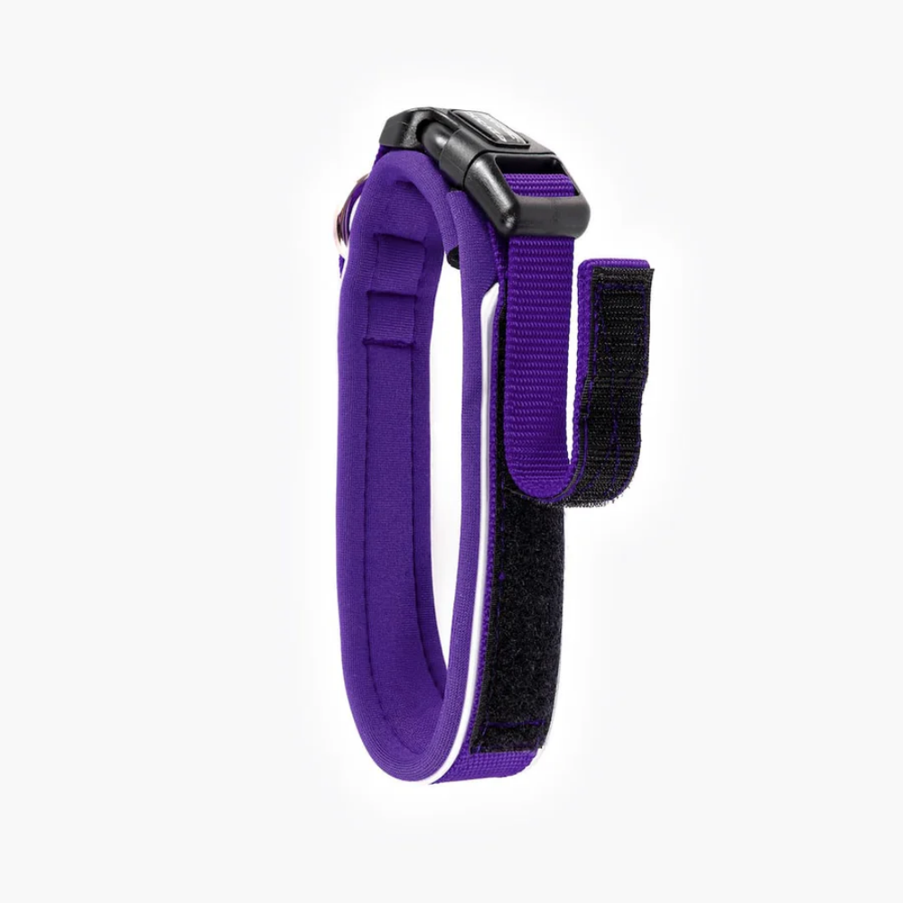EzyDog NEO COLLAR CLASSIC XS PURPLE