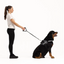 07250Leash Cujo 25"Kamuflaj 63.5cm