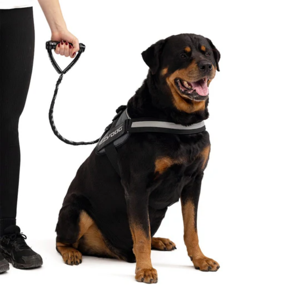 08257Leash Cujo 25" Pink 63.5cm
