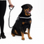 05409Leash Cujo 40"Blue 101.5Cm
