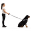 02408Leash Cujo40"Black 101.50Cm