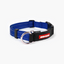 EzyDog COLLAR CHECKMATE L BLUE